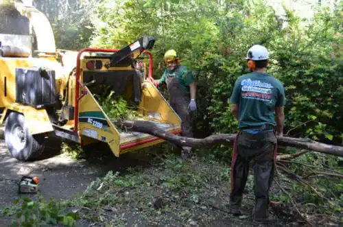 tree services Parkway